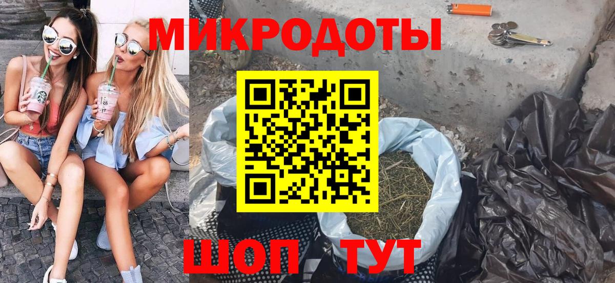 Галлюциногенные грибы Psilocybe Сыктывкар